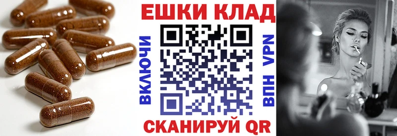 Ecstasy бентли Северск