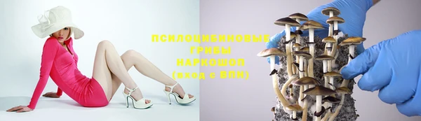 марки nbome Дмитриев