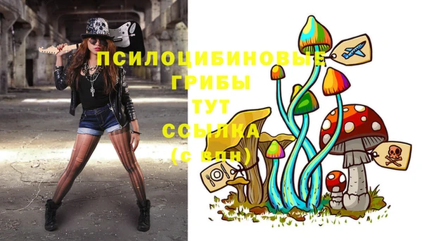 марки nbome Дмитриев