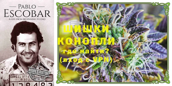 jwh Дмитров